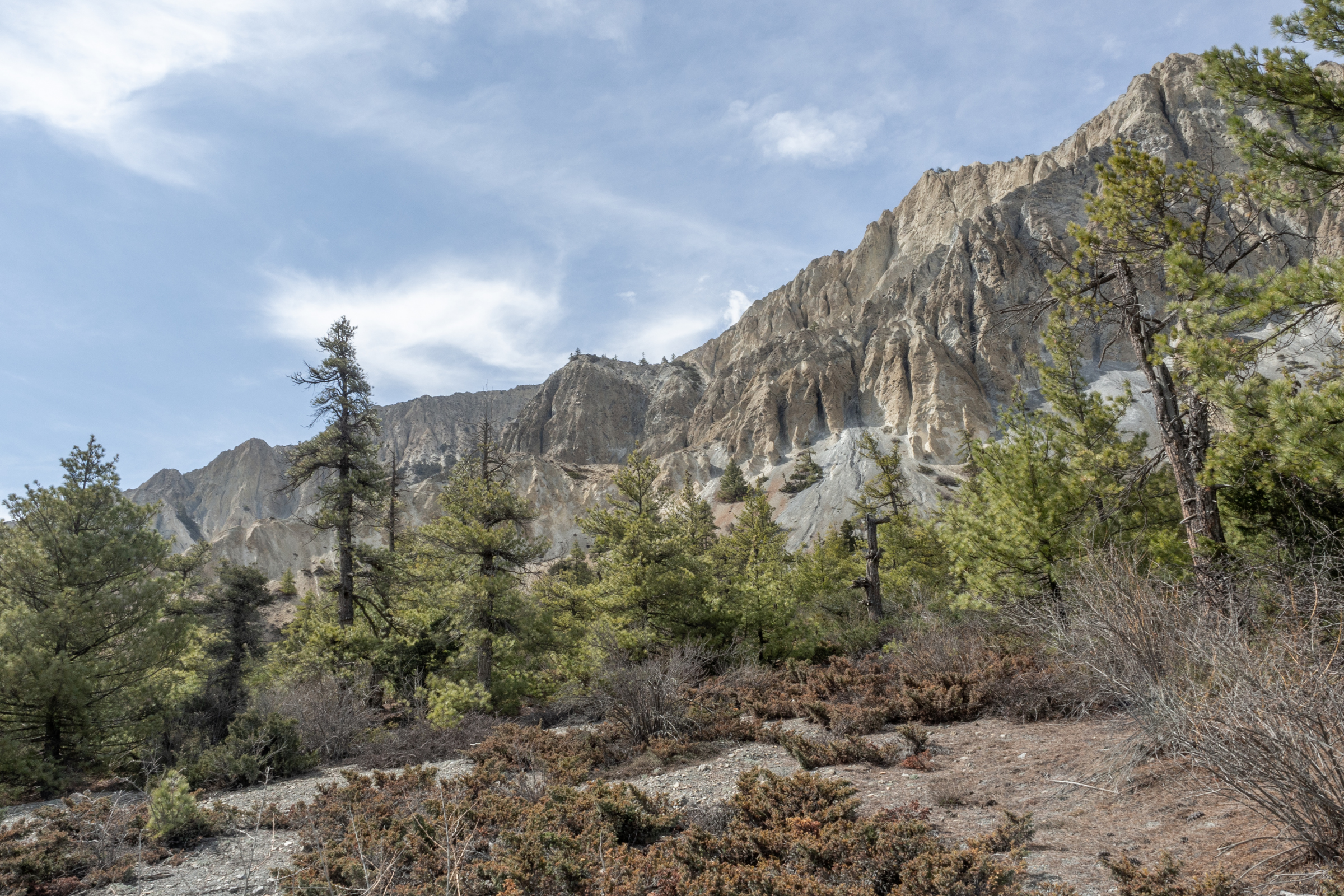 manang (3).webp